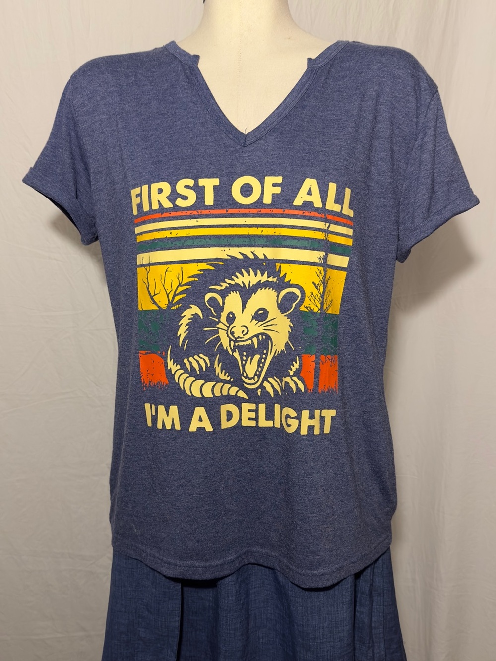 First Of All I'm A Delight Possum Graphic Tee Small